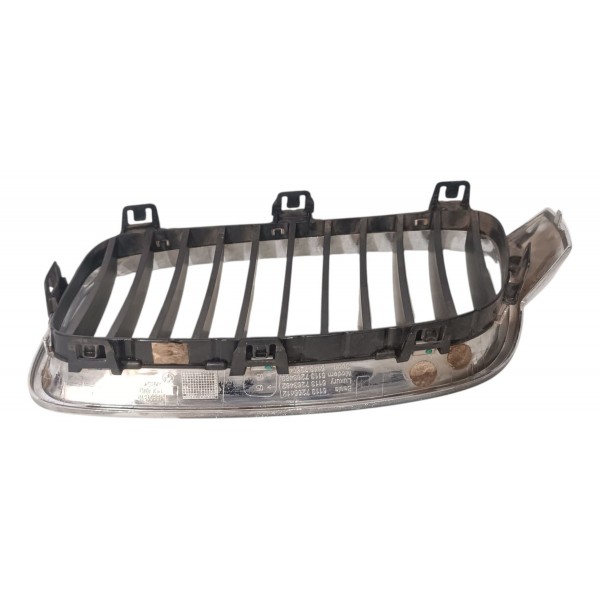 Grade Direita Bmw 320i F30 2012 2015