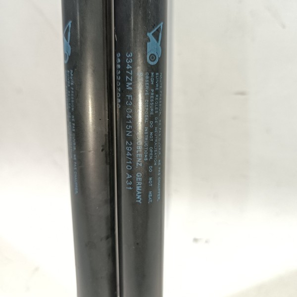 Par Amortecedor Tampa Traseira Peugeot 3008 2008 2016