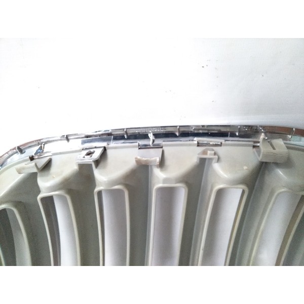 Grade Dianteira Direita 7113737  Bmw X5 1999 2005 Detalhe